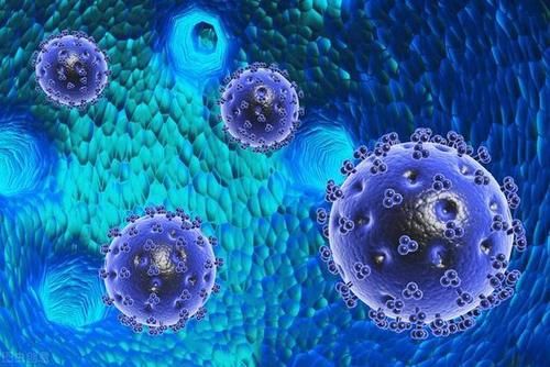 身体不适|鱼腥草是“天然抗生素”？4个好处被认可，但3类人要远离