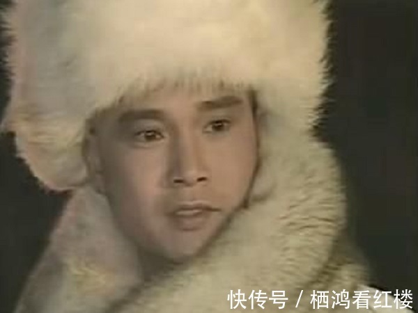 杀父真凶&胡斐为什么放着杀父真凶阎基不管,却追得凤天南满世界跑?