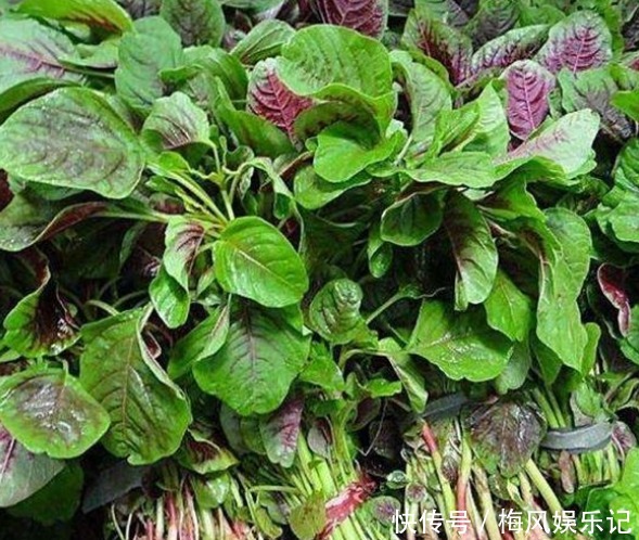 女人貧血別愁!多吃四種野菜,開胃消食、補血補氣,氣血兩虛必備