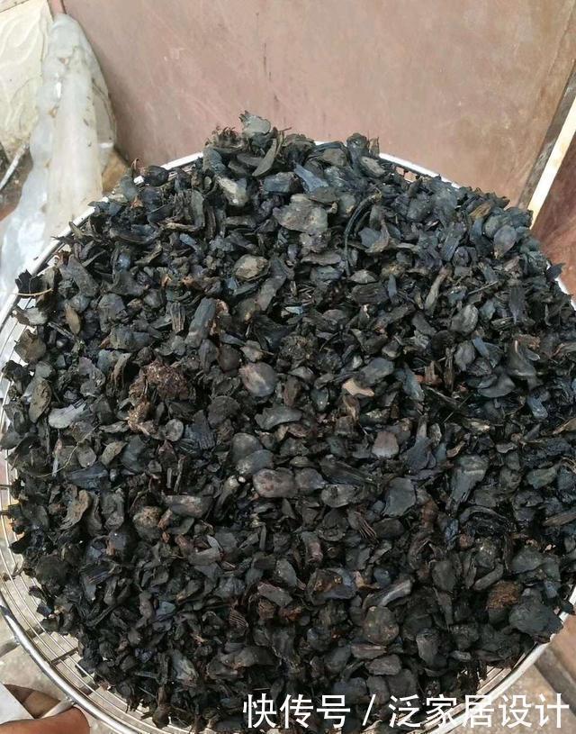 养花捡这料,烫壶开水捂3周,养啥都旺,比腐殖土好10倍