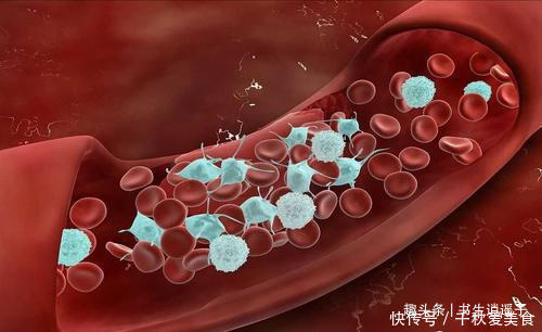 事实|54个人体冷知识:或许经常遇到,但你却不一定明白的事实