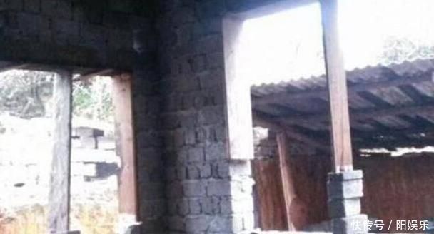 装修|邻居盖了栋这样的房子,村里人都被吓到了,现在房子空着没人住