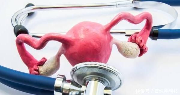 女性|宫寒的女人,要避免“4凉”,常吃3物、做2事,子宫一天天变干净