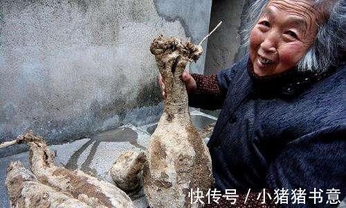 保养|女人不想妇科病来扰,三种食物轮着吃,帮你保养卵巢,预防妇科病