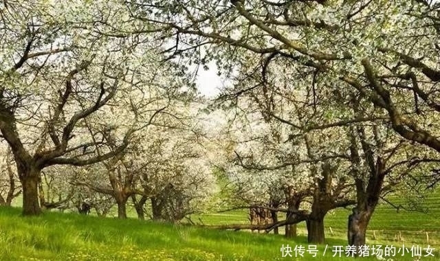 少女|18张图都隐藏着少女,找出6个正常,9个聪明,14个以上天才