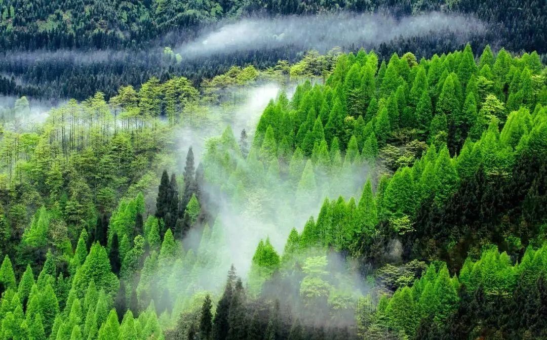 洪雅|一城山水，几番韵味，这是属于洪雅的养心之地