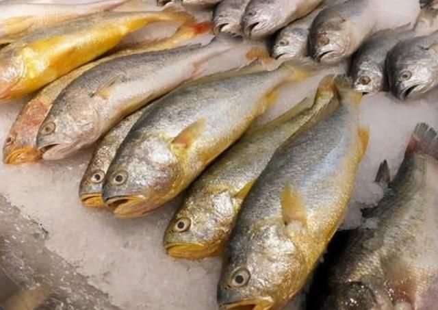 鱼贩子|含“寄生虫”最多的3种鱼,没营养还贵,鱼贩子从不给家人吃