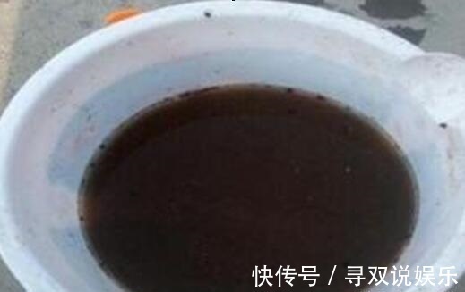 9月开始,养桃蛋“牢记”2个字,半年养的“胖嘟嘟”,萌化了