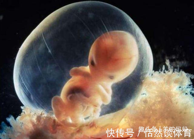 辐射|胎儿“异常”是吃出来的？孕期不能碰的3种食物，孕妈最好忍一忍