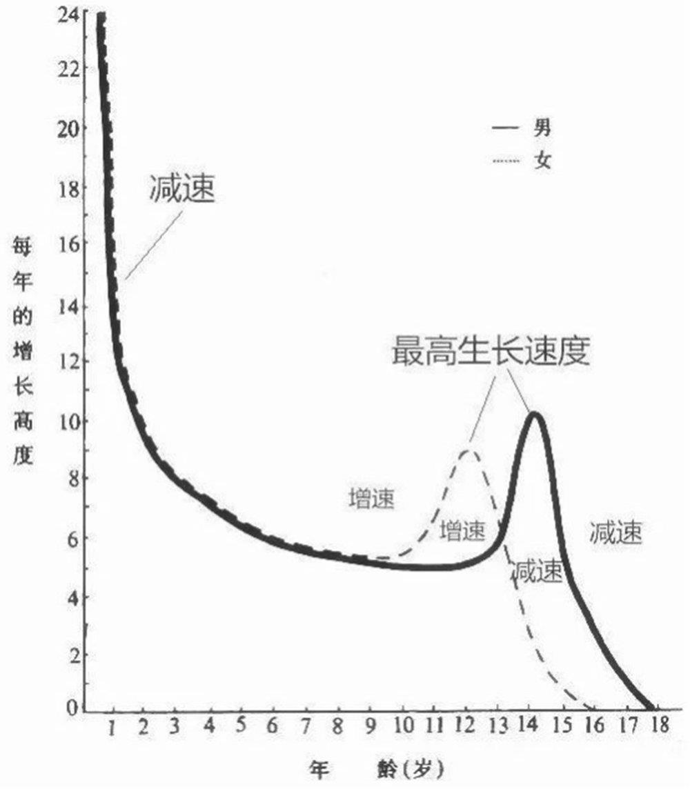 发育|处于青春期的女生，最好别碰这些禁区，否则和“大长腿”无缘