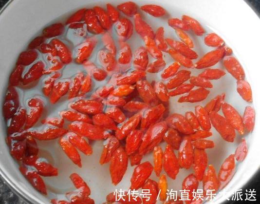 营养成分|新手养鸡冠花，别只会浇水，适当来点“它”，盆盆花开似“蒲扇”