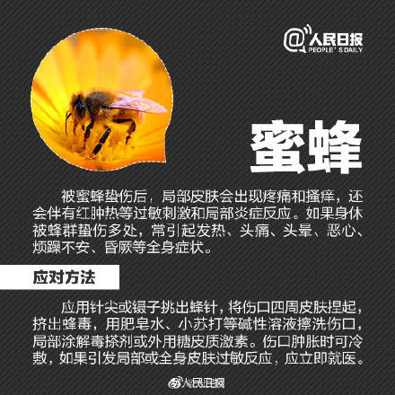 秋游|秋游当心昆虫过敏！严重过敏反应甚至危及生命