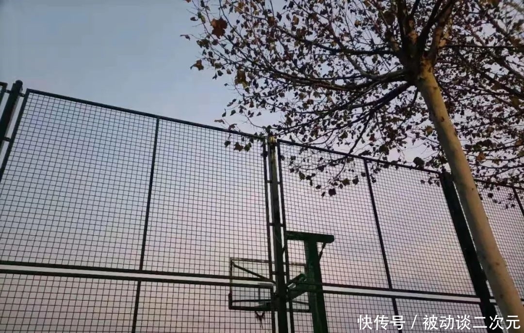 郑州电专|郑州电专“练习生”正式出道!