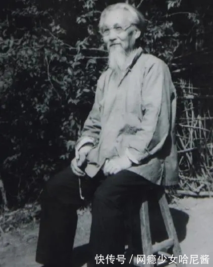 花鸟画@随心所欲、自然天成｜蒋雨浓写意花鸟画