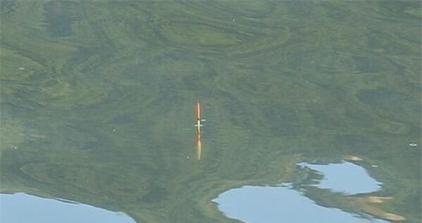 调个漂要半天按照步骤来,简单快速,肯定错不了