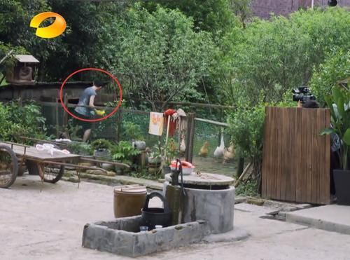 黄磊|是个狠人!何炅玩打水仗藏在鸡窝里,被黄磊喷水,直接用嘴接