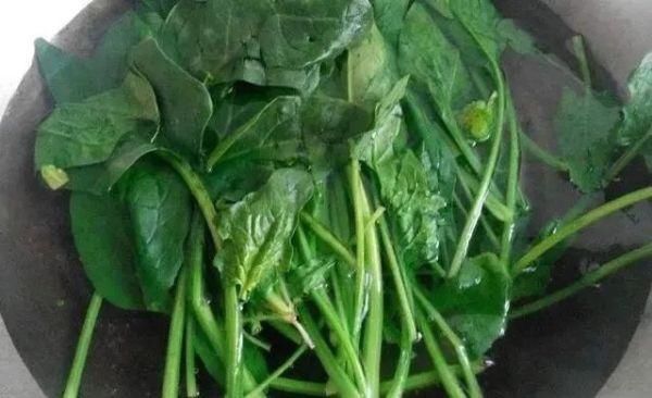 猪肝|夏天，多吃这菜，1块钱一把，铁是猪肝9倍，做成面食爽滑又筋道