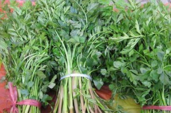 肝脏|天然养肝菜出现了，医生每天炒一盘，肝脏越来越健康