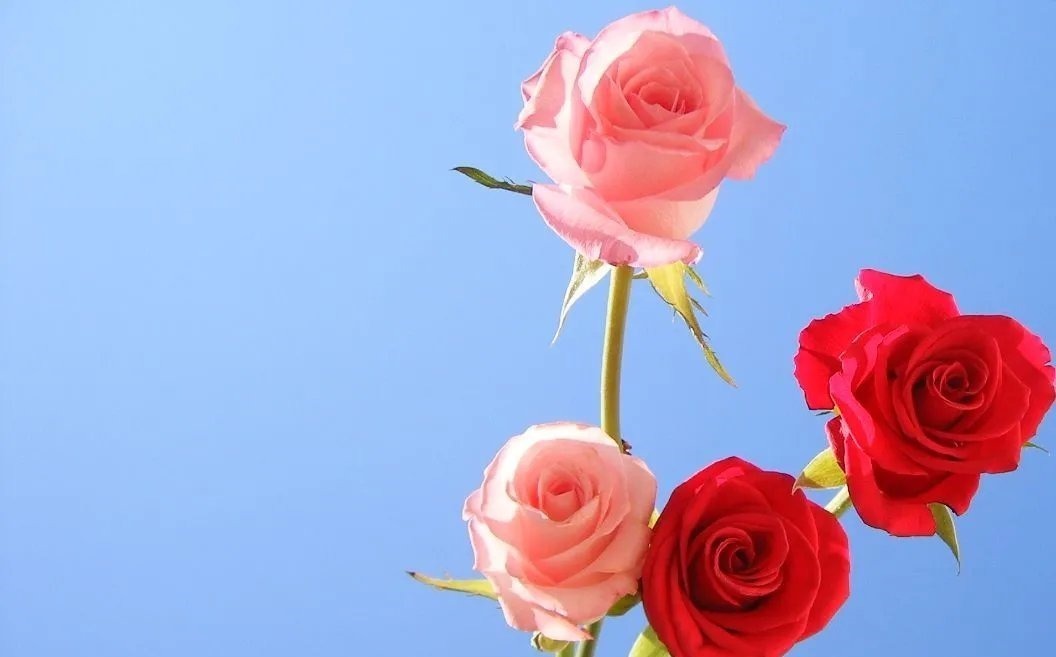 叹白发&66首惊才绝艳的古诗词,终于找全了,值得永久收藏