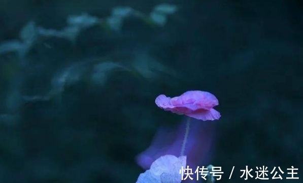 心扉|10月份，幸运满满，桃花满满，打开心扉，感情稳定，生活越来越好