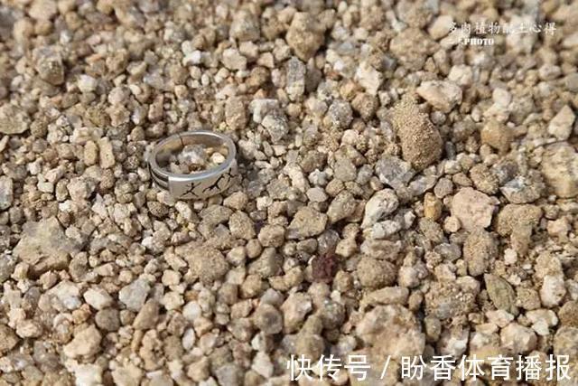 家中的花总是“烂根”养不活？往盆中扔2样东西，花苞挂满枝头！