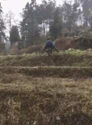 |搞笑GIF:表妹担心有人偷竹子,她每天一个人去后山点数!