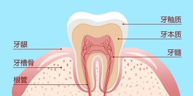 疾病|被10亿人忽视的口腔问题，正悄悄瓦解「全身系统」