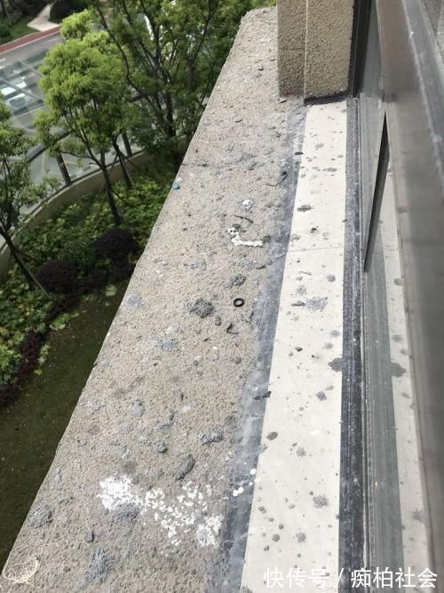 高层腰线拿来养花?邻居理直气壮:反正出了公摊,为啥我不能用?