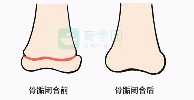 做好|孩子长高不只靠遗传!做好这5点,宝宝身高更优秀