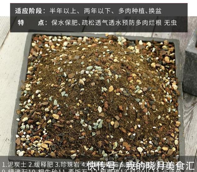 多肉植物|养根得靠土,浅谈如何选购多肉植物栽种基质