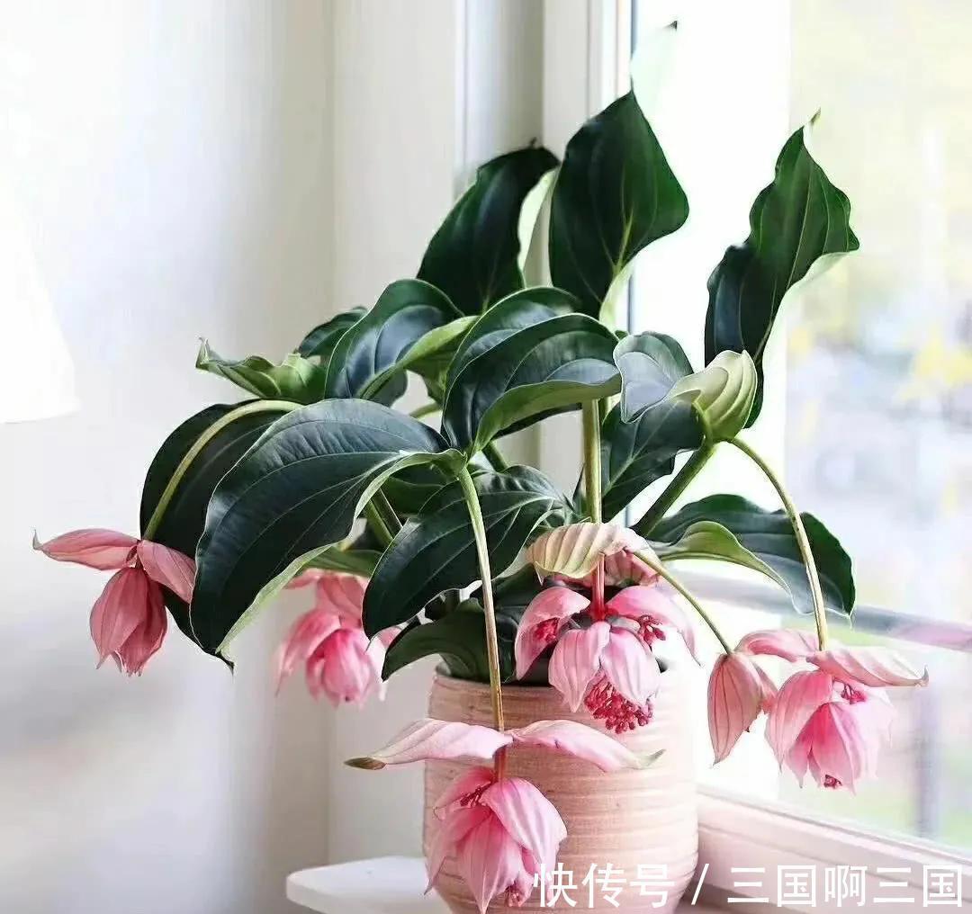 别再被割韭菜了，此些网红花白给都不要，看到就要躲得远远的