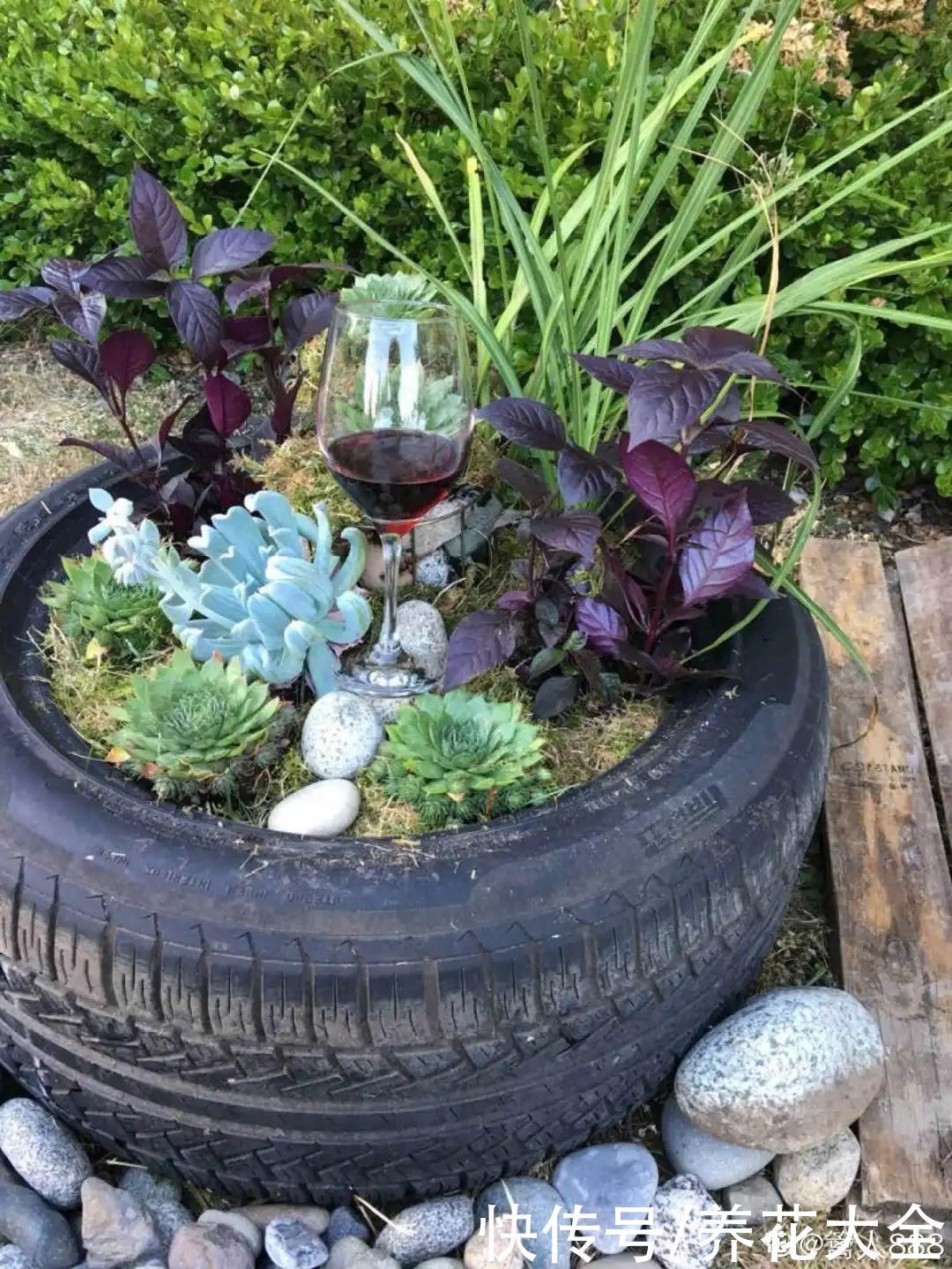 旧筷子、老干妈瓶别扔,拿来养花效果好,省下一笔养花钱