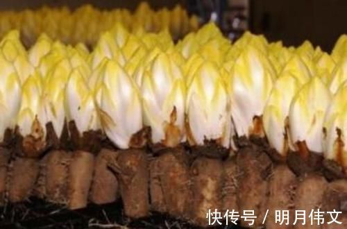 胰岛功能|糖尿病别光吃药打针,常吃这几样食物,血糖稳降比药都强!