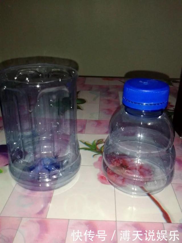 妙招|家庭养花,塑料瓶是“宝贝”,学会5个使用“小妙招”,一生受用