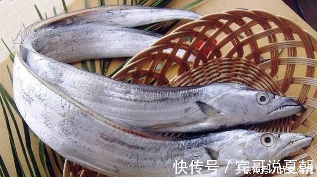 带鱼|想买到优质的带鱼靠经验,记住“4买3不买”,避免上当受骗!