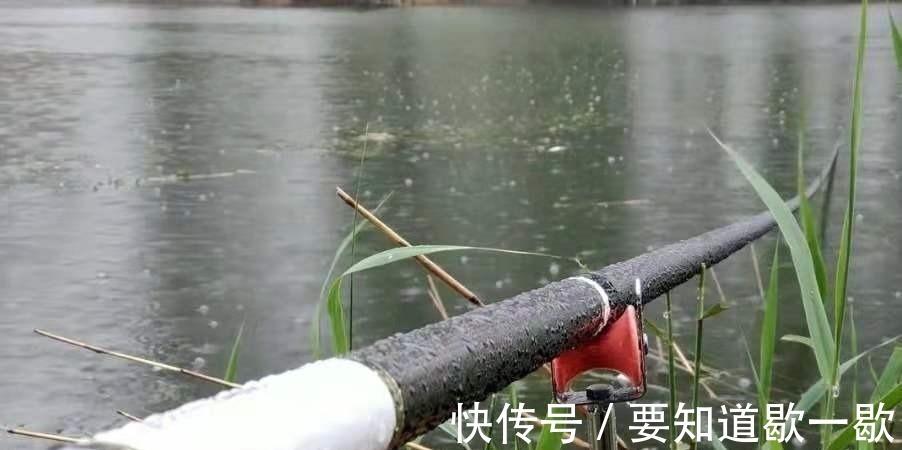 窝料|早就听说这鲤鱼钓法百试不爽,用过才后悔知道晚了!