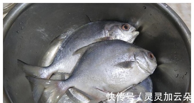 生姜汁|煎鱼时，容易粘锅掉皮，教你详细做法，鱼皮不掉还入味！