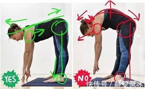 胸腔|为什么瑜伽练习不能照葫芦画瓢?看过这些图你就懂了…