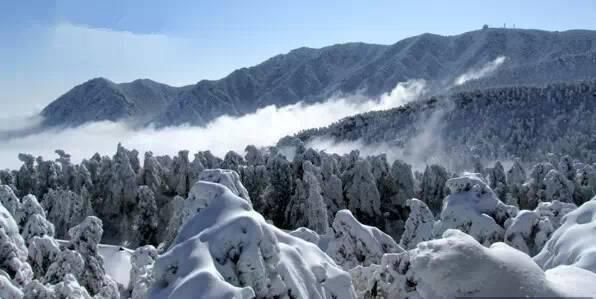  美景|5分钟过江！两岸三地美景等你来！！