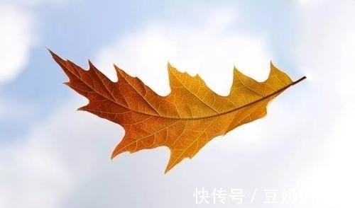 意象&两首描写晚晴的五律,状元诗人体察入微,李商隐的作品却别出心裁