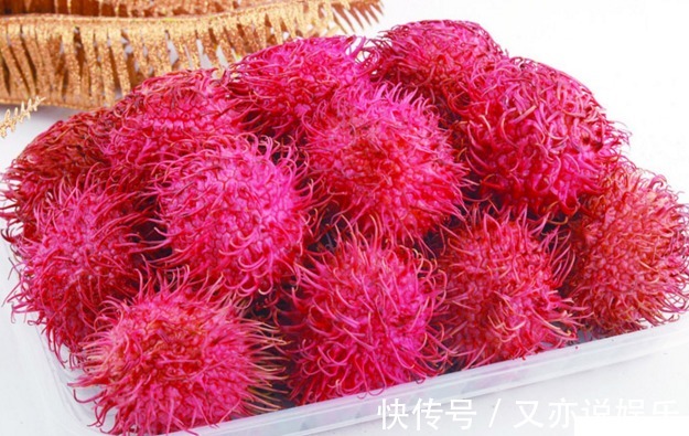 水果|农村一种水果长相奇特,营养高还养颜护肤,没吃过的快来看看!