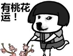 |笑话:精神病院走廊,A病人对着一个抱着鸭子的病人说。。。