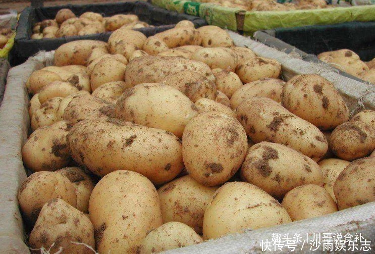 原来保存土豆这么简单,菜农教您一招,土豆放一个月不发芽不发霉
