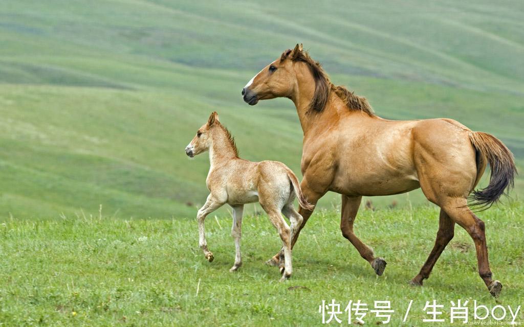 东海福|腰缠万贯财，脚踩东海福！新年1月份，4生肖财多，福多，贵人多！