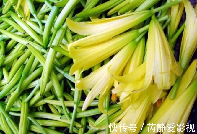 菜花|种植黄花菜,强身健体,掌握四点,种出健康营养的黄花菜来