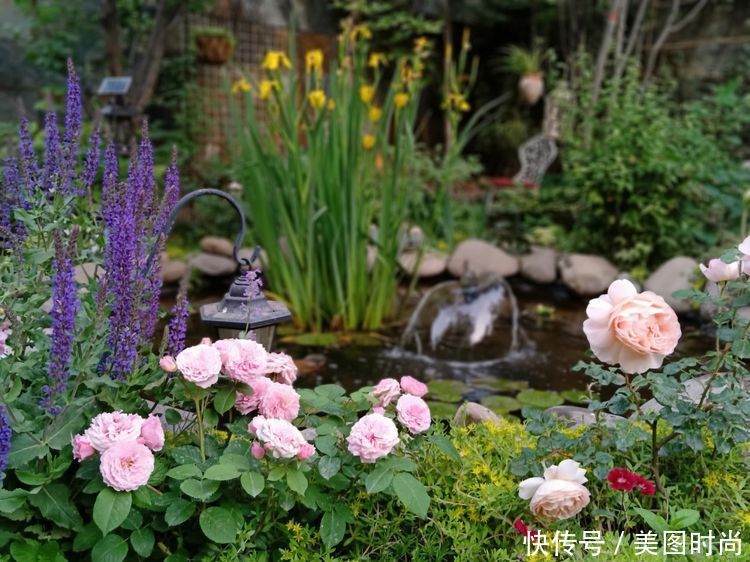 美好时光|花园改造：3年前买了栋带170㎡花园的房子，过上种花草的乡村生活