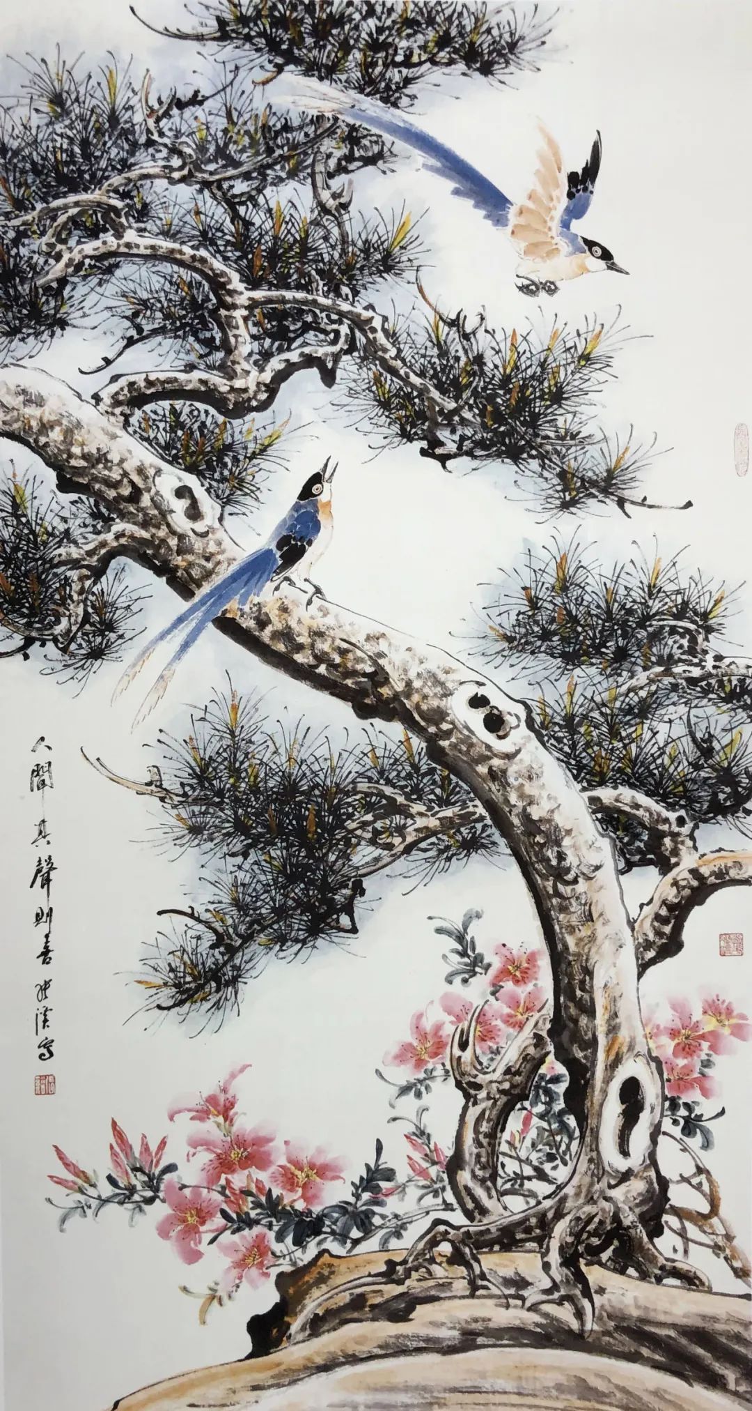 笔墨!妙造自然·巧得天趣——张秋波小写意花鸟画艺术品鉴