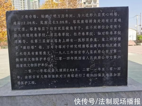 华商报|“西安又有古塔塔顶长树了!”