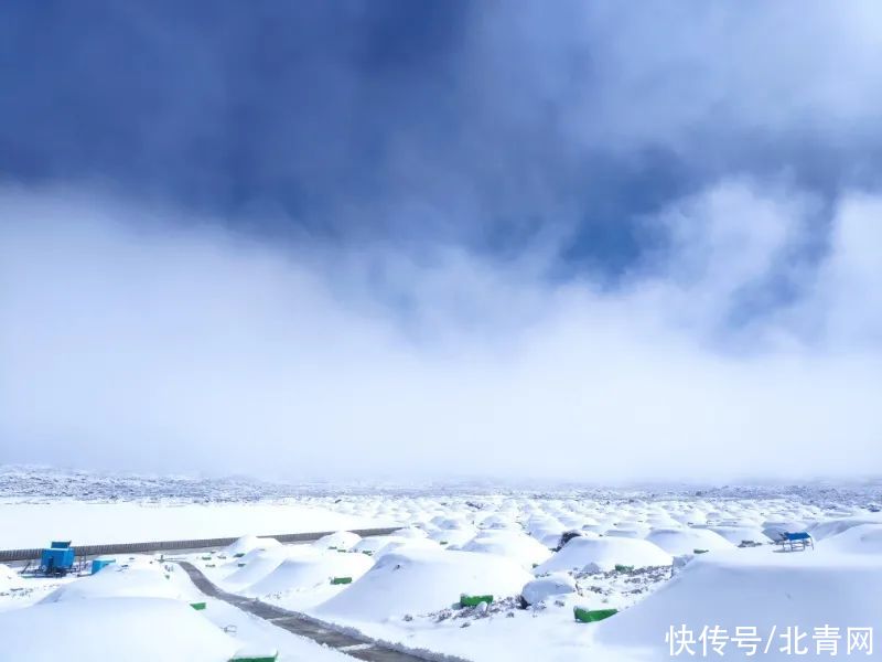 lh真·高能！“字全认识系列”又增加了