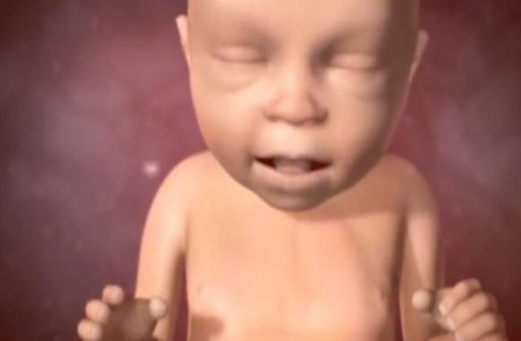 孕妈|原来孕妈做的一些事,可都是会影响胎儿的“颜值”的“天敌”